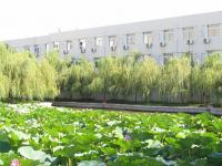 Albums/20060800-China Aug 2006/20060804-Shenyang University/9